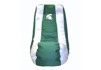 Michigan State Spartans Video Bag