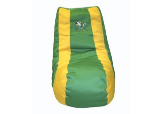 Notre Dame Fighting Irish Video Bag