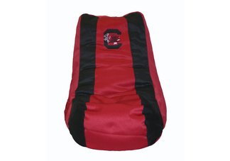 South Carolina Gamecocks Video Bag