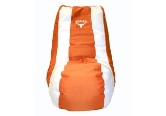 Texas Longhorns Video Bag
