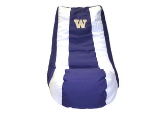 Washington Huskies Video Bag