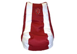 Indiana Hoosiers Video Bag