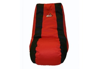 Louisville Cardinals Video Bag
