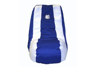 Connecticut Huskies Video Bag