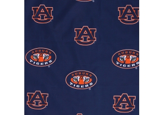 Auburn Tigers