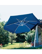 Market Umbrella
