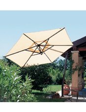 Market Umbrella