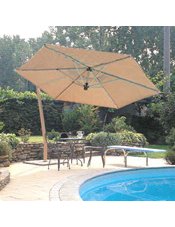 Market Umbrella