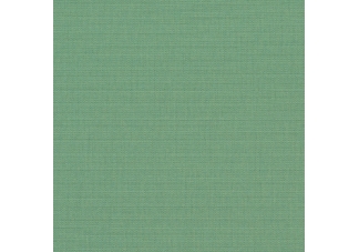 Canvas Basil