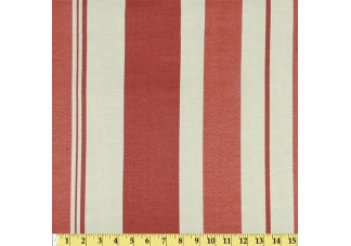 Coral Stripe