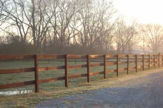 equestrian