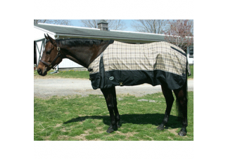 Equestrian Equipment