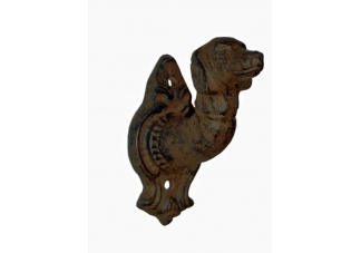 dog accessories