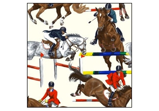 equestrian accessories