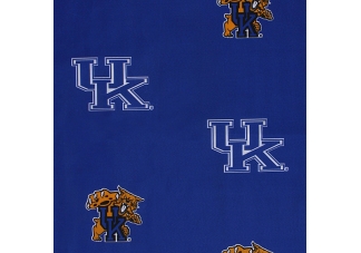 Kentucky Wildcats