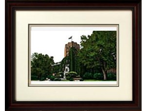 University of Michigan Wolverines Alumnus Diploma Frame