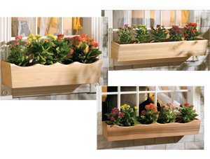 Nantucket Window Boxes