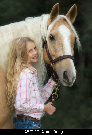 Palomino Horse Shows, Alabama Palomino Horse Shows, Horse Shows, alabama horse shows