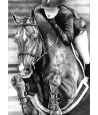 equestrian note cards, hunter jumper note cards, equestrian accessories, fine art note cards