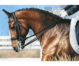 equestrian note cards, fine note cards, equestrian art, dressage note cards