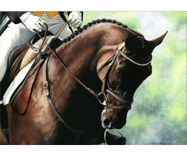 equestrian art, equestrian note cards, dressage note cards, dressage, equestrian accessories
