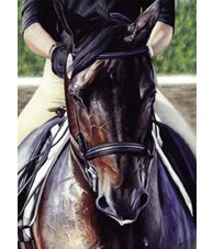 equestrian note cards, equestrian accessories, horse note cards, fine note cards