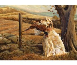 equestrian note cards, equestrian accessories, hound note cards, hunting note cards