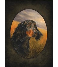 equestrian note cards, hound note cards, hound, foxhunting, equestrian accessories