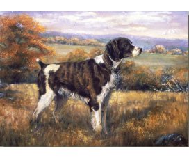 equestrian note cards, equestrian accessories, hound note cards, hunting note cards