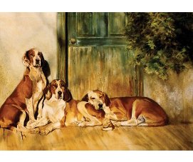 equestrian note cards, equestrian accessories, hound note cards, hound, foxhunting