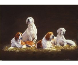 equestrian note cards, hound note cards, foxhunting, equestrian accessories