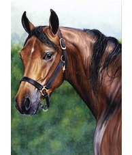 Fine note cards from TF Gauntt featuring equestrian, foxhunting, and hound themes from original art. equestrian note cards, equestrian accessories, equestrian art, horse note cards