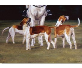 equestrian note cards, fine note cards, equestrian accessories, foxhunting note cards, hound note ca