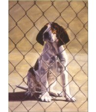 equestrian note cards, foxhunting, foxhunting note cards, hound note cards, equestrian accessories