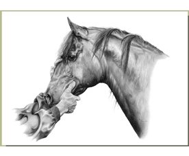 equestrian note cards, equestrian accessories, horse note cards, equestrian art