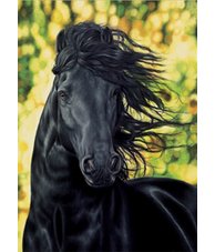 equestrian note cards, equestrian accessories, fine note cards, horse note cards, horse stationary