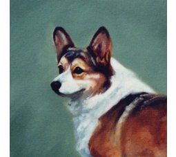 napkins, dog napkins, hand napkins