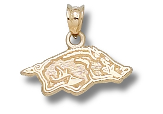 University of Arkansas Razorbacks Gold Pendant