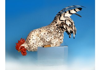 Speckled Shelf Hen