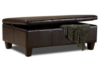 leather furniture