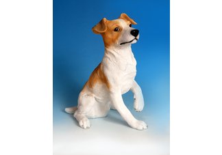 Jack Russell