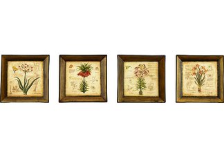 Yellow Iris Plates - Set of Four