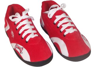 Arkansas Razorbacks All Around 2X