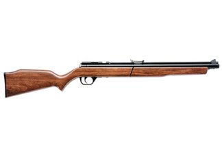 Benjamin Air Rifle