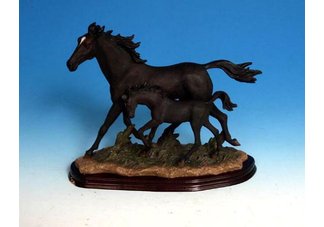 Black Horse Running With Foal