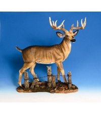 Buck w/Fence