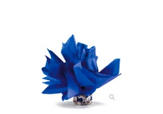 equestrian gifts