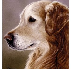 napkins, dog, hand napkins