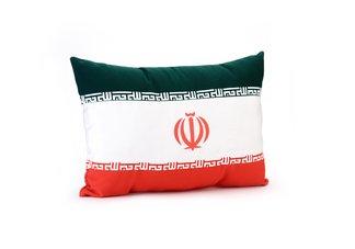 Iran Flag Pillow.