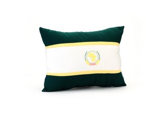 African Union Flag Pillow.